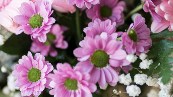 crisantemi rosa - Fiori per un'amica - fiori da regalare - fiori rosa - bouquet rosa -