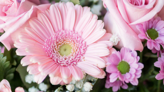 Gerbera rosa - Fiori per un'amica - fiori da regalare - fiori rosa - bouquet rosa -