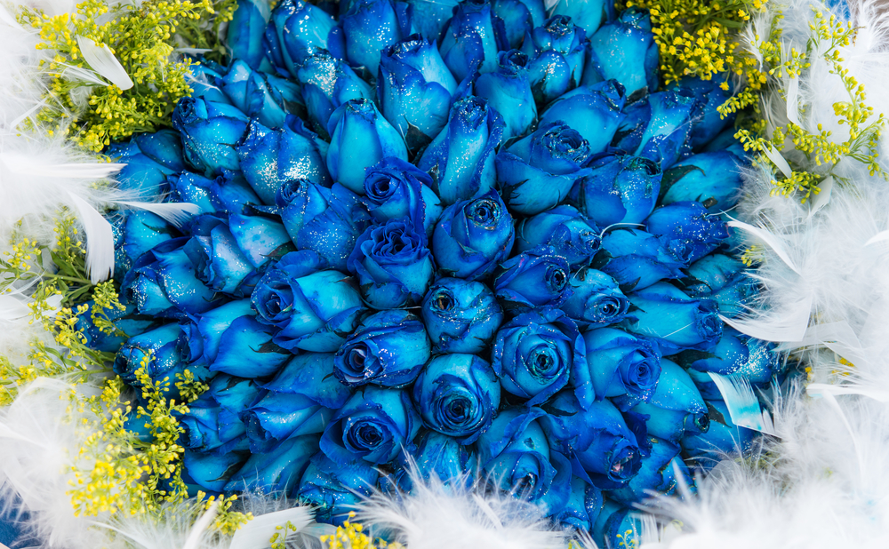 Quando regalare un mazzo di rose blu? ⋆ FloraQueen IT