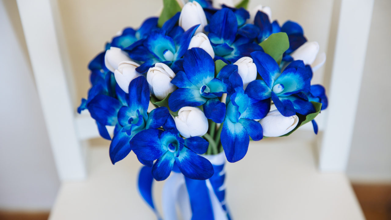 Fiori Blu 5 Idee Per Il Bouquet Da Sposa Blog Floraqueen It