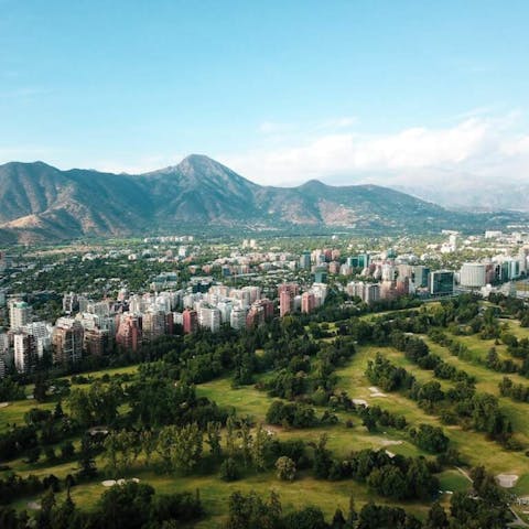 A Floral Expedition Through the Markets of Santiago - Flora Queen