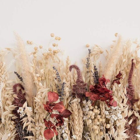 How to Dry Out Flowers: Preserving Nature’s Beauty - Flora Queen