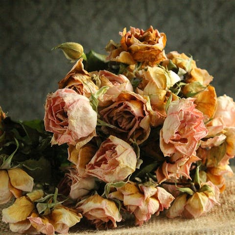 How to Dry a Bouquet of Flowers: A Comprehensive Guide - Flora Queen