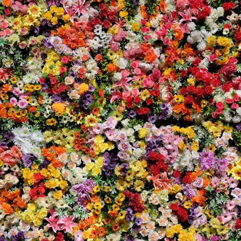 Types of Flowers: 158 Different Kinds of Flowers - Flora Queen