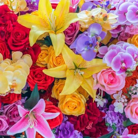 A Guide To Europe’s Most Popular Flowers - Flora Queen