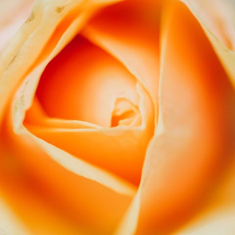 Creating Special Moments with Flower Surprises - Flora Queen