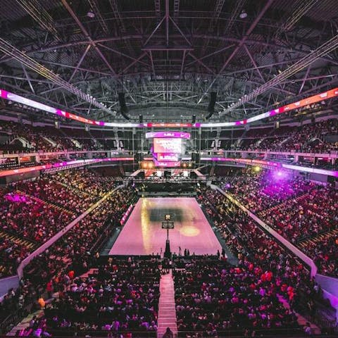 The Best 41 Sports Fan Gifts for Any Budget - Flora Queen