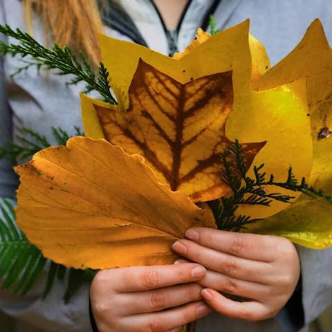 How Much Does A Bouquet Of Flowers Cost - Flora Queen