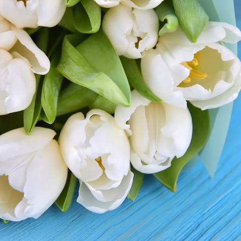 Elegant Tulip Bouquet Makes Your Spring More Beautiful and Colorful - Flora Queen