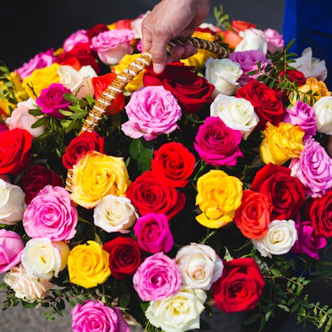 Multi-Colored Roses: The Beautiful Rainbow - Flora Queen