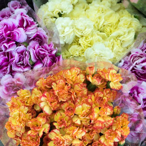 Why Should You Bulk Flowers Online: Discover the Possibilties - Flora Queen