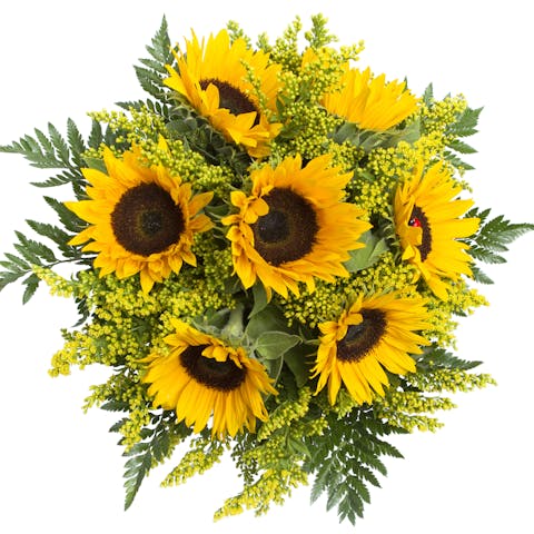Sunflower Bouquet Delivery: The Many Benefits - Flora Queen