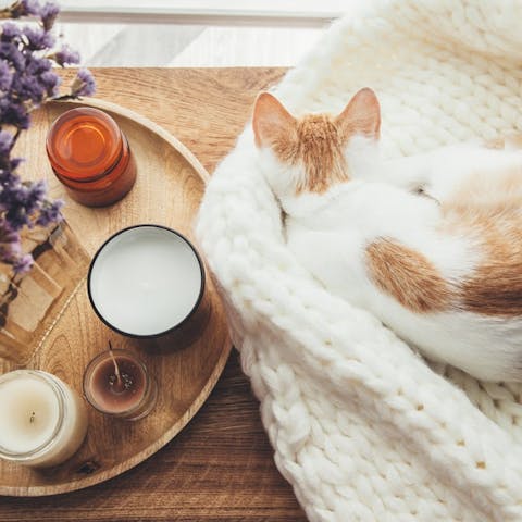 How to avoid getting bored: tips to enjoy your time at home - Flora Queen