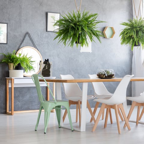 Hanging Indoor Plants – Ideas, Tips and More - Flora Queen