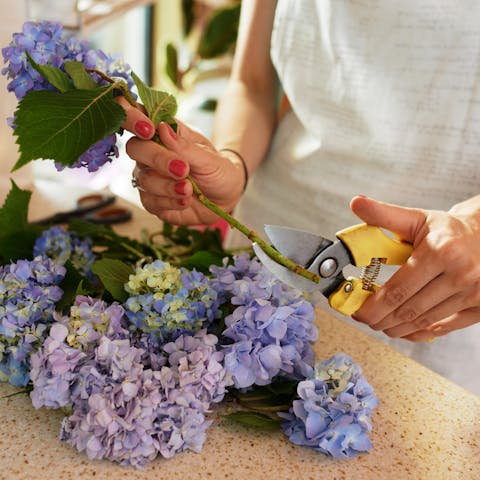 How to Cut a Flower Stem Correctly - Flora Queen