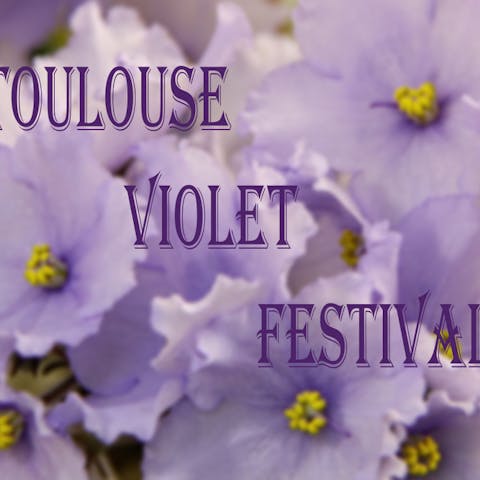The Flowers of February: Violets - Flora Queen