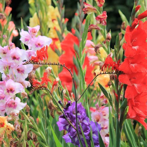 When to Send Flowers After a Death - Flora Queen