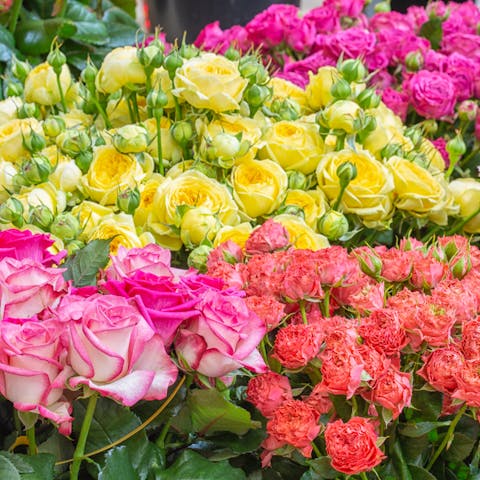 Roses: Their Secret Language and Celebrity Inspired Names - Flora Queen