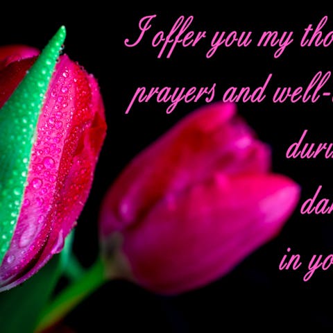 Giving Sympathy Gifts During a Time of Loss - Flora Queen