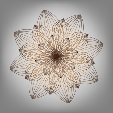 Mandala Flowers and Their Meaning - Flora Queen