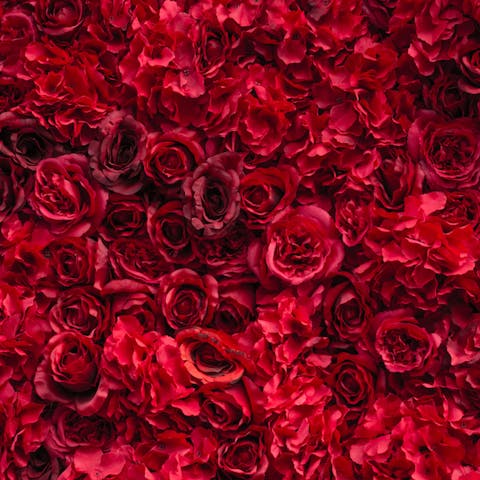 FloraQueen Offers Huge Bouquets of Flowers - Flora Queen