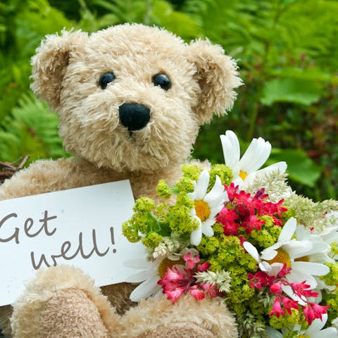 Get Well Soon Flowers with FloraQueen - Flora Queen