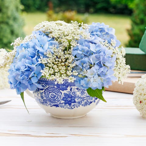 Budget-friendly Flowers with FloraQueen - Flora Queen