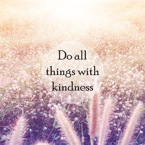 Kindness Quotes to Warm the Heart and Soul - Flora Queen