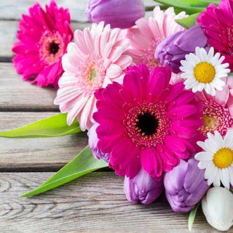 FloraQueen Coupons for Gerbera Daisy Bouquets - Flora Queen