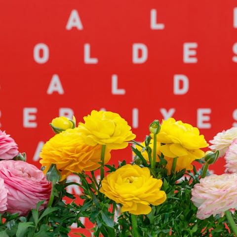 Say “Rose” in Over 40 Different Languages - Flora Queen