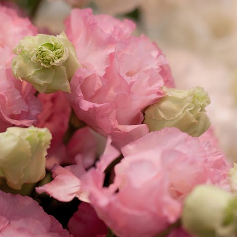Victorian Flower Language: How They Encoded Their Messages into Bouquets - Flora Queen