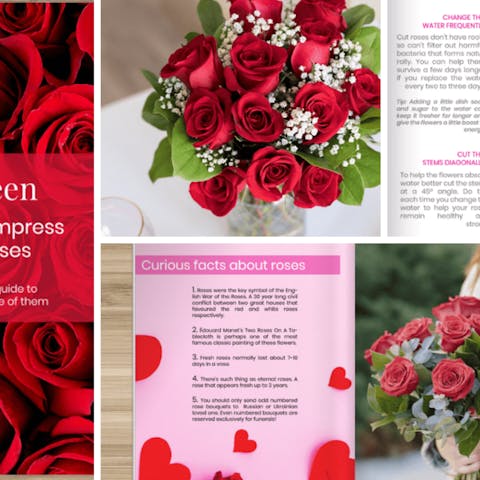 All You Need To Know About Roses – Discover Our Brand New eBook - Flora Queen