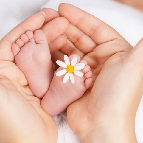 How to pick the perfect flower names for babies - Flora Queen