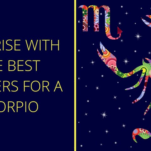 Surprise With The Best Flowers For A Scorpio - Flora Queen