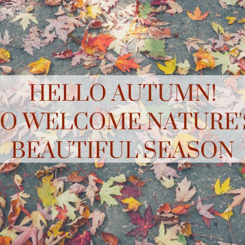 Hello Autumn! How To Welcome Nature’s Most Beautiful Season - Flora Queen