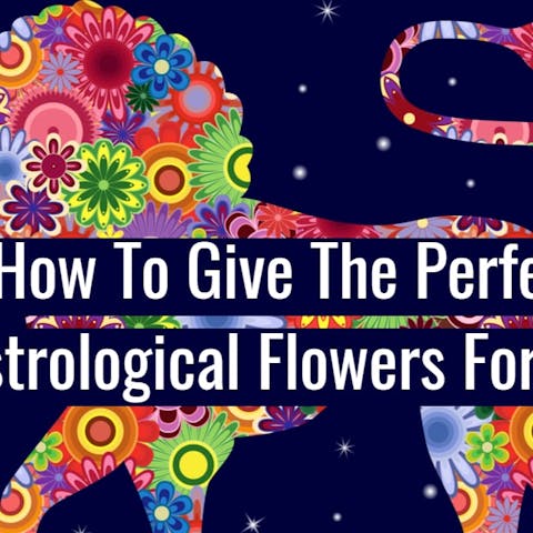 How To Give The Perfect Astrological Flowers For Leo - Flora Queen
