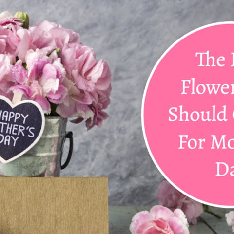 Best Flowers For Mother’s Day - Flora Queen