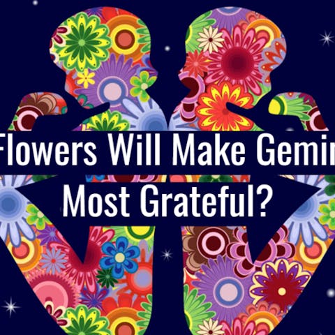 What Flowers Will Make Geminis The Most Grateful? - Flora Queen