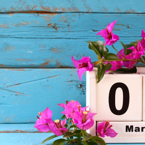 Why We Celebrate International Women’s Day on March 8th - Flora Queen