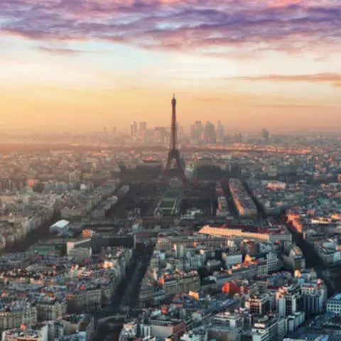 Send-flowers-to-France-7-things-you-probably-never-knew-about-Paris Flora Queen