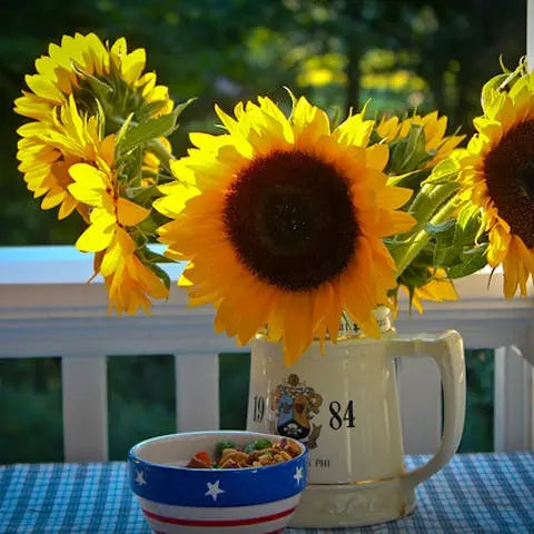 Summer-is-coming-Brighten-it-up-with-colourful-flowers Flora Queen