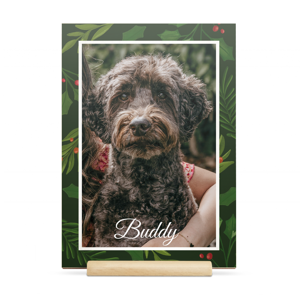 00aea74057db3cd42f52c369f9d9d223