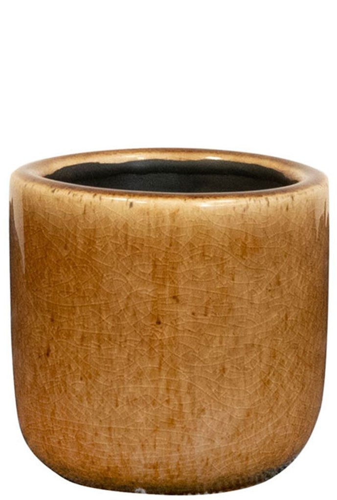 Nine Caramel pot D7 Flora Queen Flora Queen