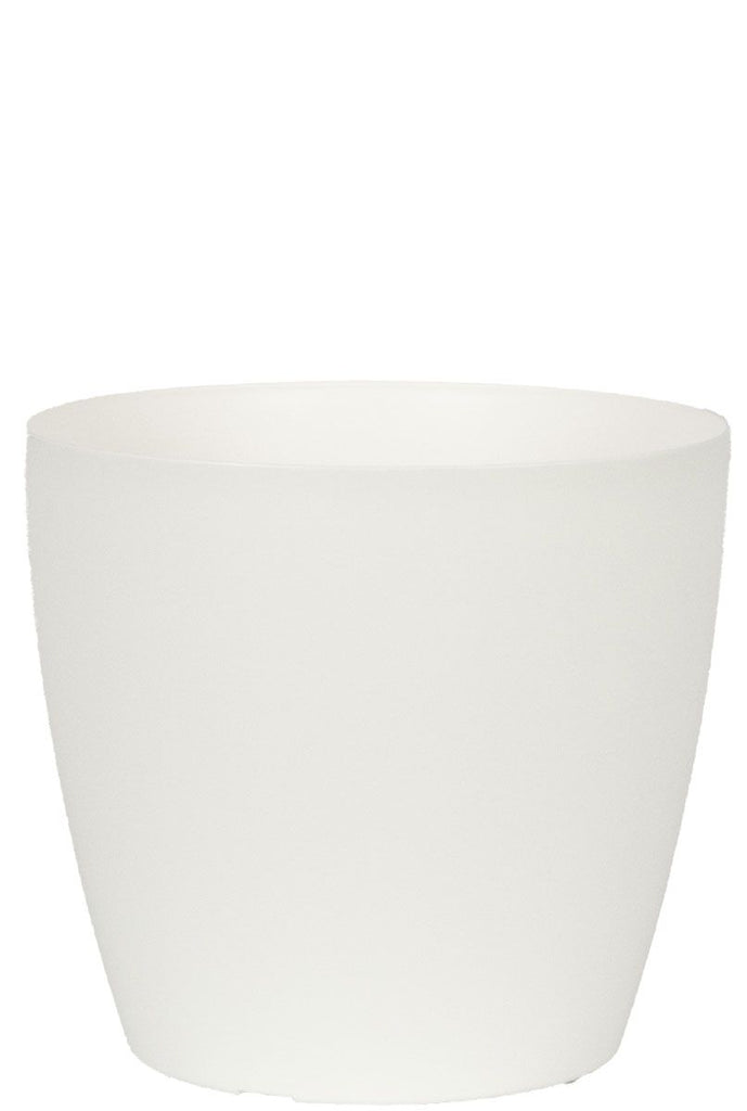 San Remo white pot D16 Flora Queen Flora Queen