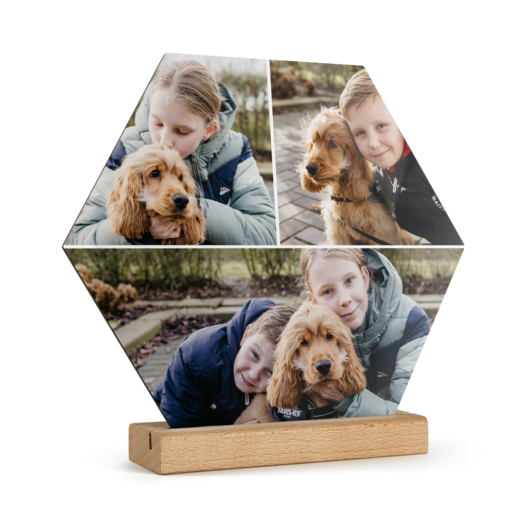 4751d478c71c7c0b08b2fcdf412bad47