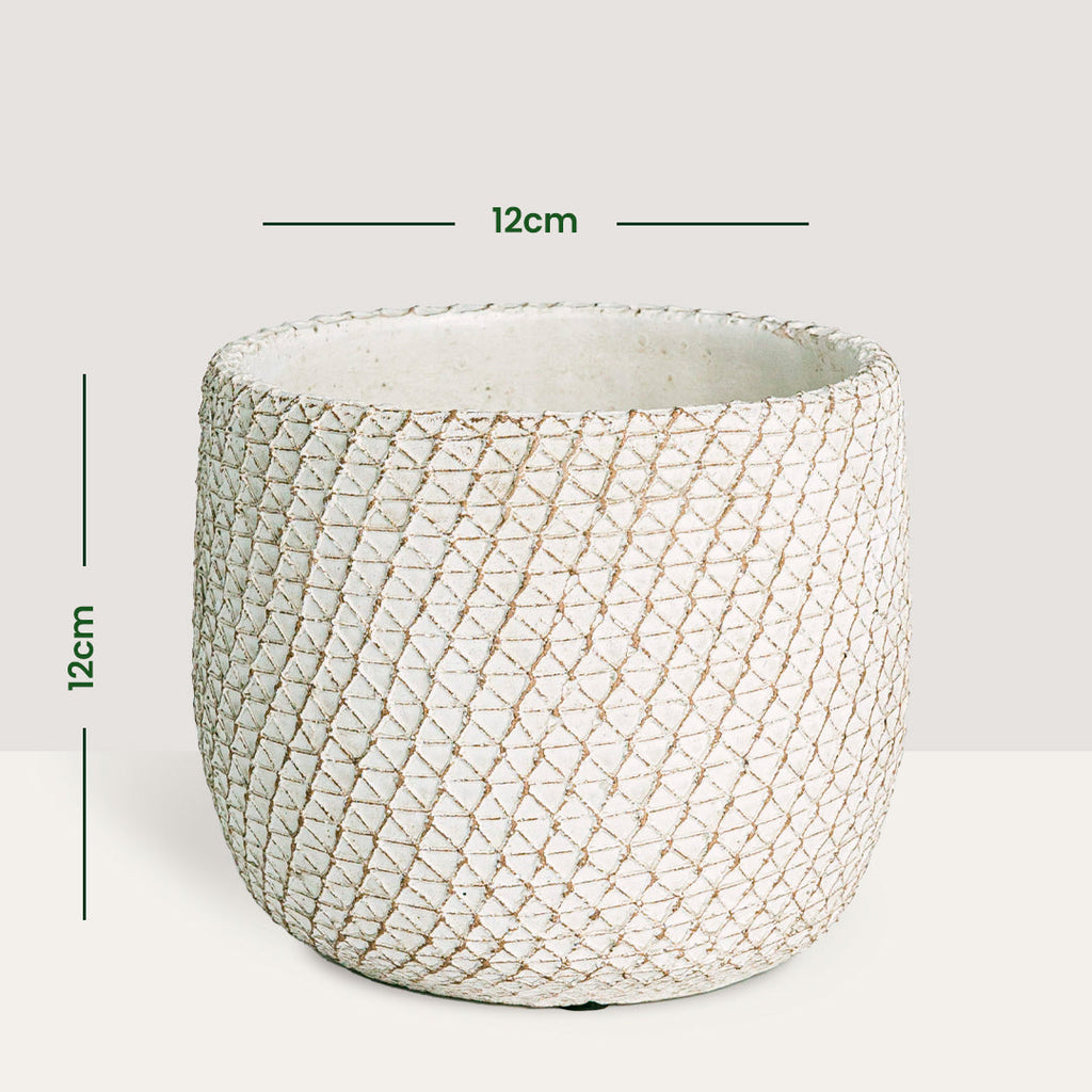 Trio maceteros Venice - S /12cm Flora Queen Flora Queen