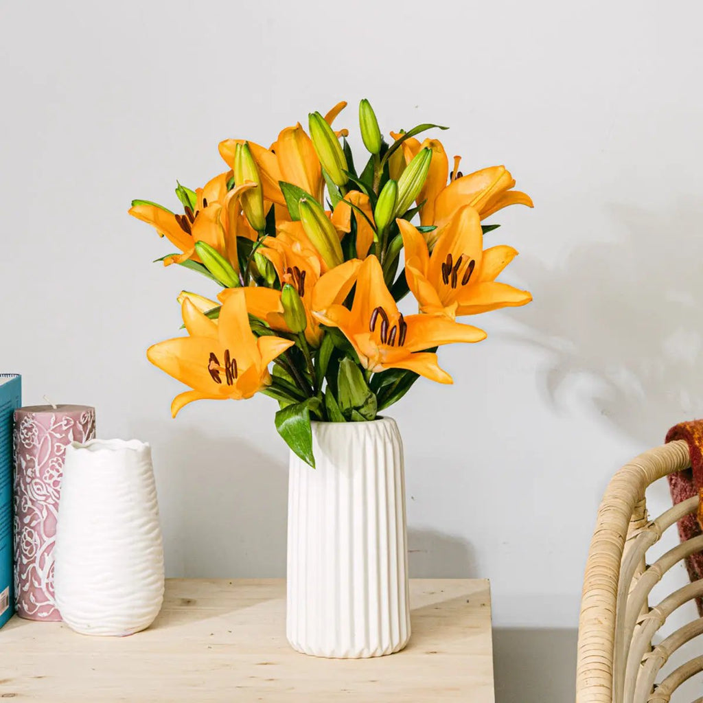 Life Goals Flora Queen Flora Queen