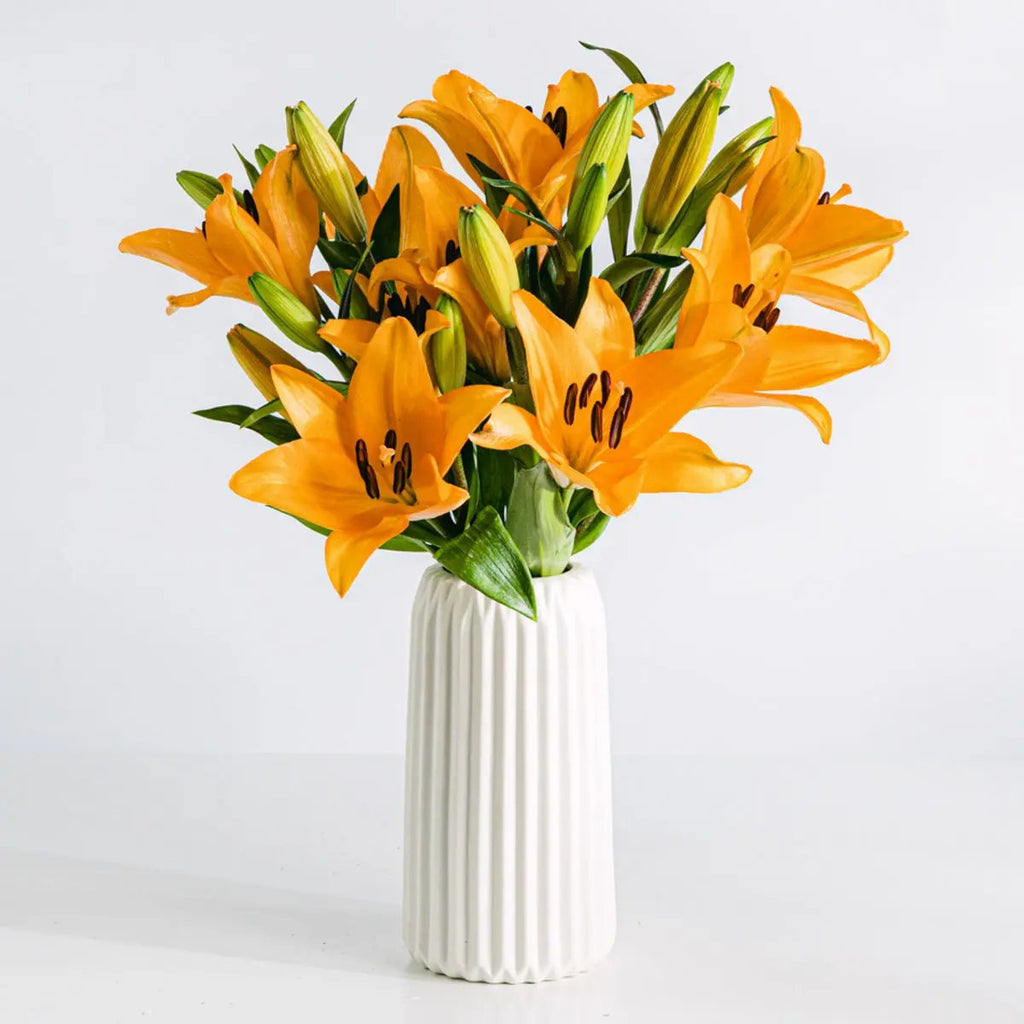 Life Goals Flora Queen Flora Queen