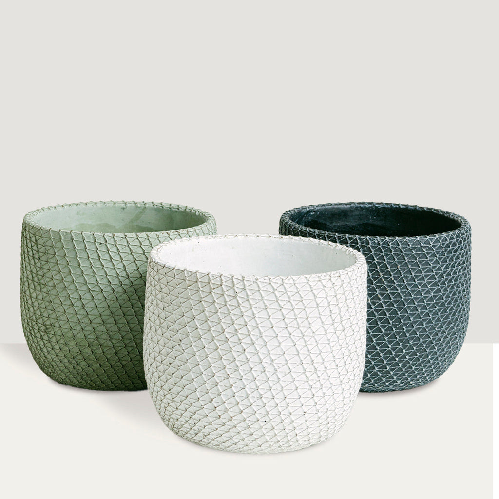 Flower/Plant Pot BG40257 Flora Queen Flora Queen