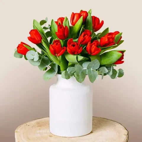 Scarlet Splendor Flora Queen Flora Queen